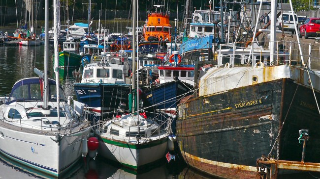 Crowded harbour Stornoway