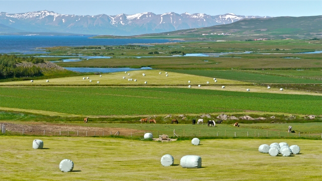 Farm near Akureyri