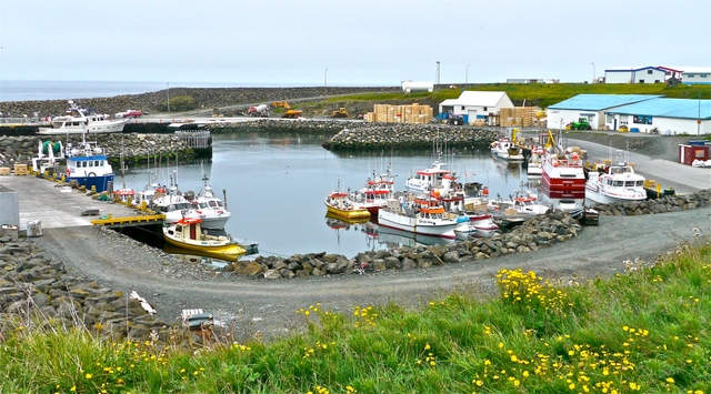 Grimsey harbour