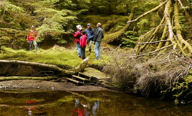 Forest walk at Windy Bay