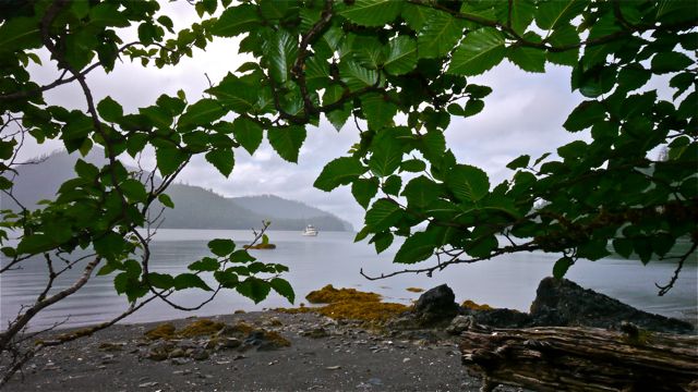 Venture off Burnaby Island