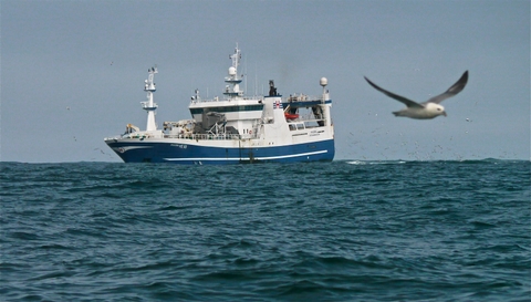 6Trawler