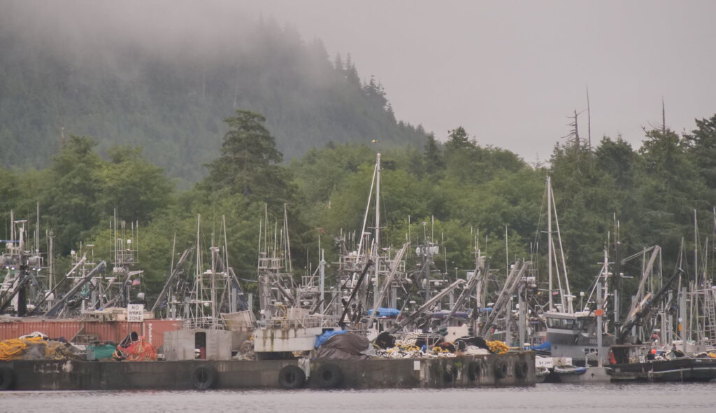 crossed gulf of esquibel