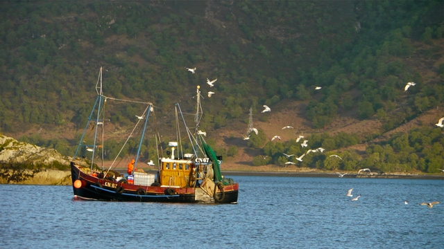 Fishing boat in Kyle of Lochalsh