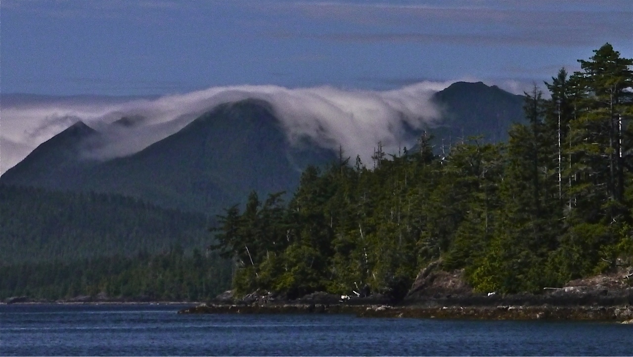Fog drapes the mountains Brook