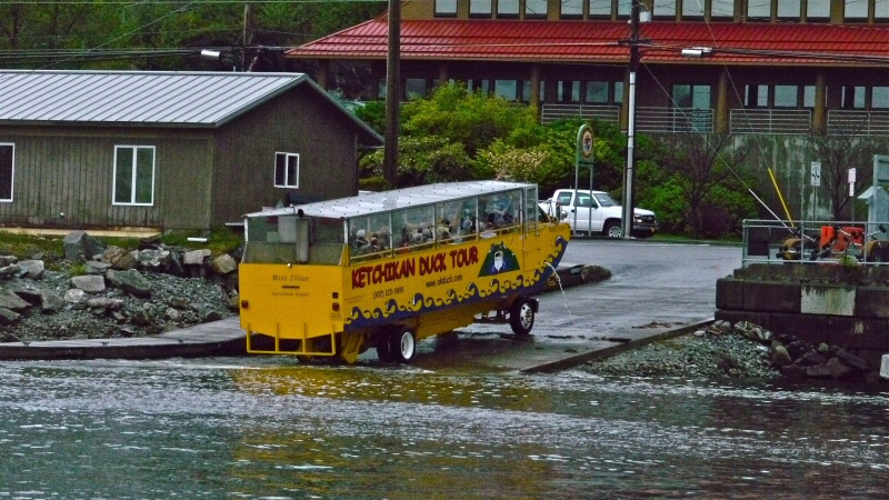 Amphibious Duck Ketchikan