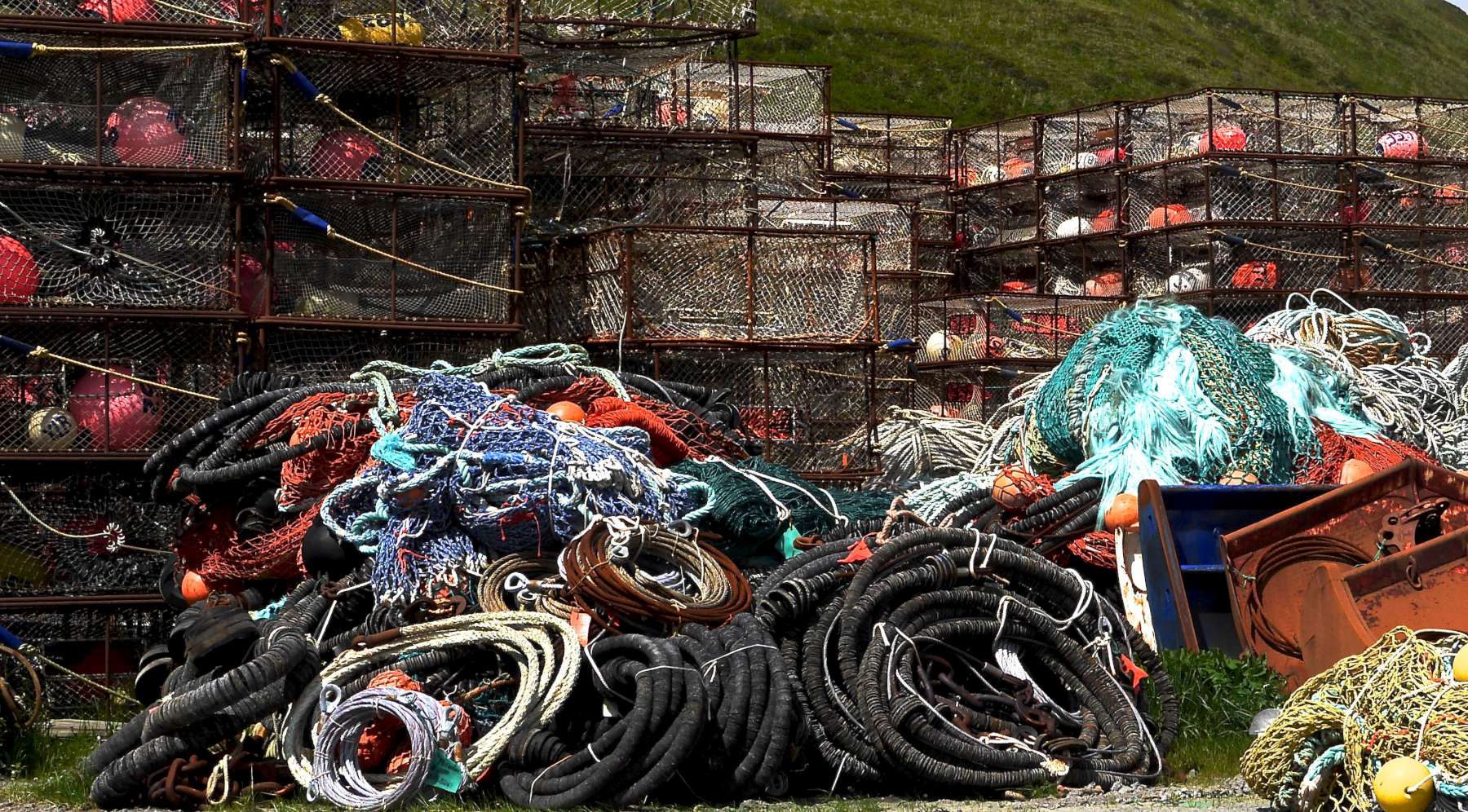 Nets and crab traps
