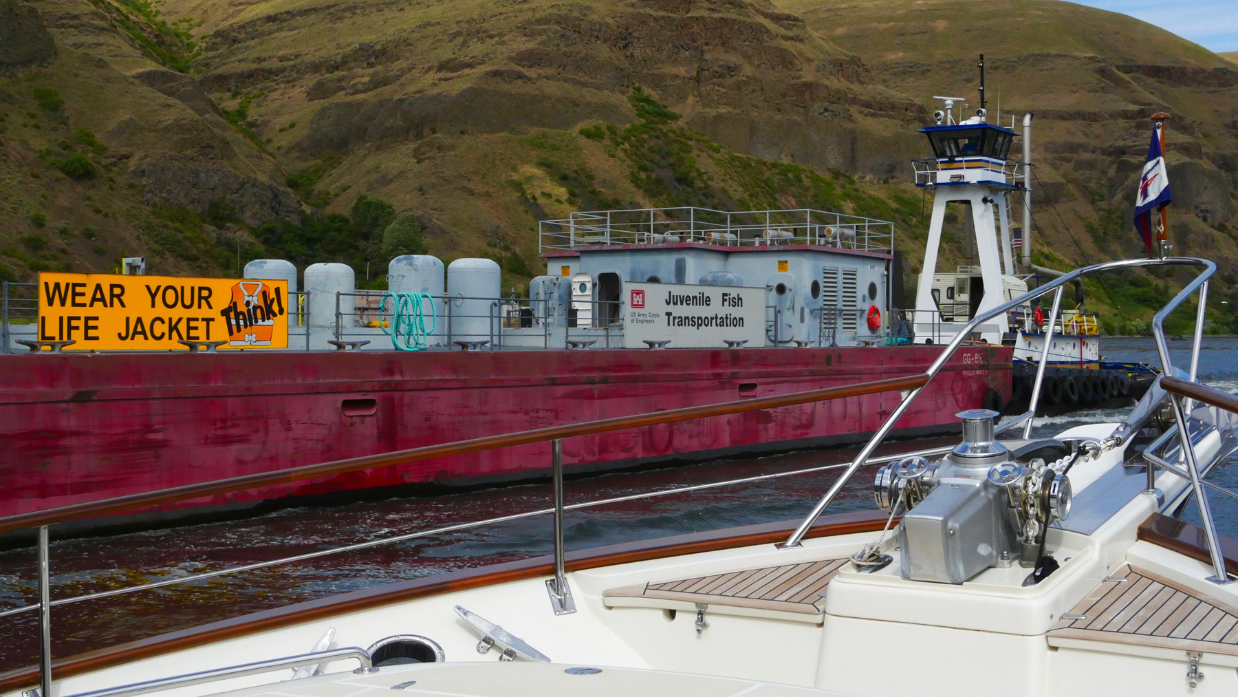 Transporting juvenile salmon