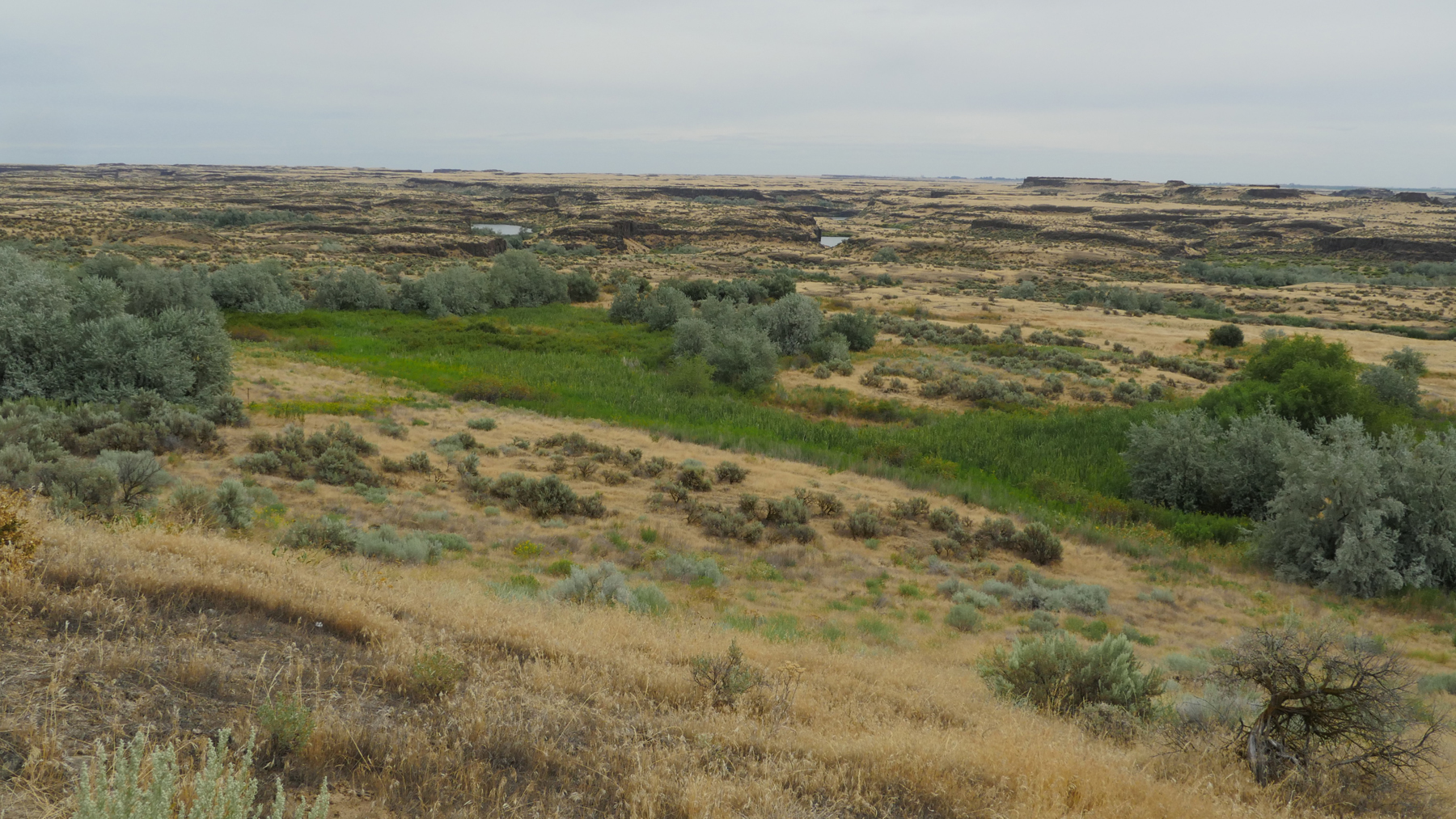 Scablands