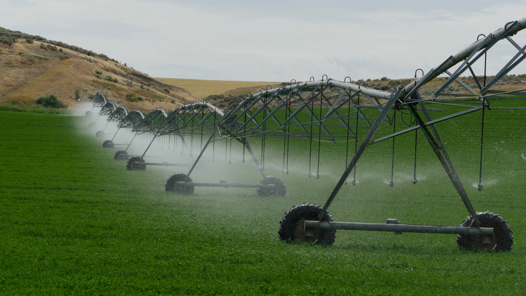 Irrigation robot