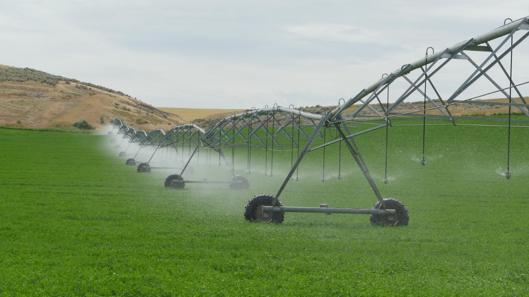 Irrigation robot