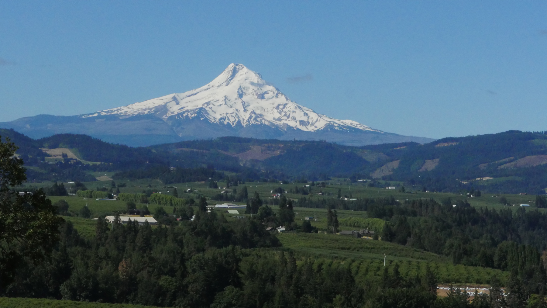 Mt Hood at Hood River