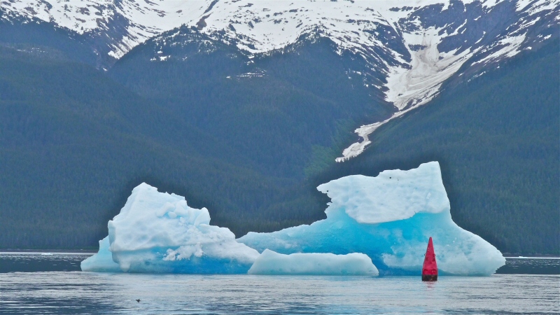 Port marker entrance Tracy Arm