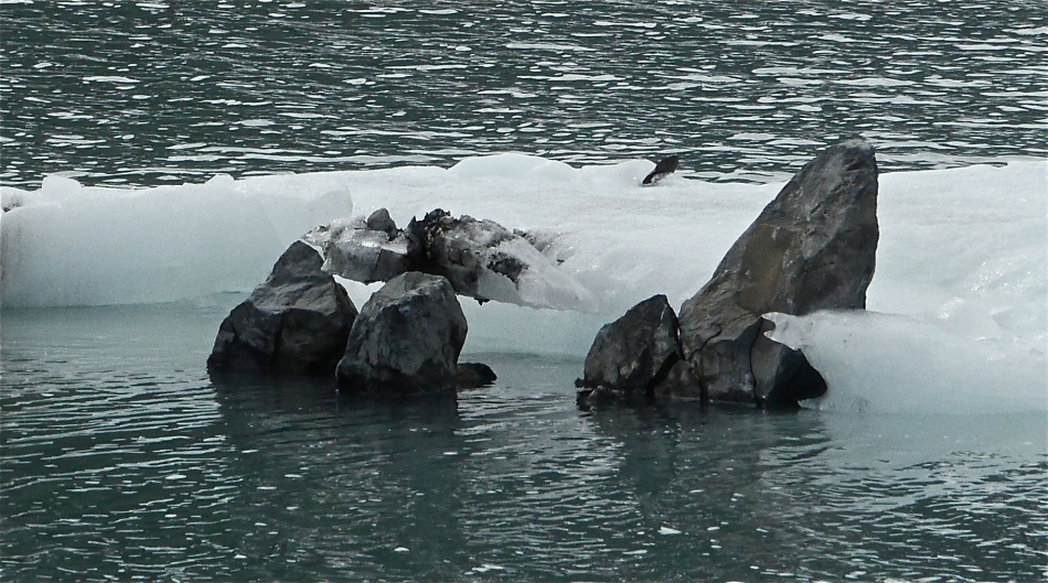 Rocks on ice floe