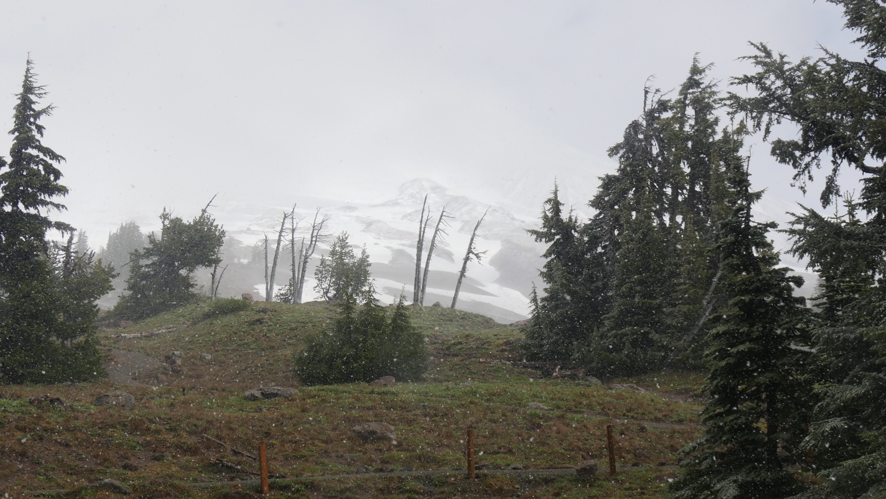 At Timberline Lodge on Mt. Hood