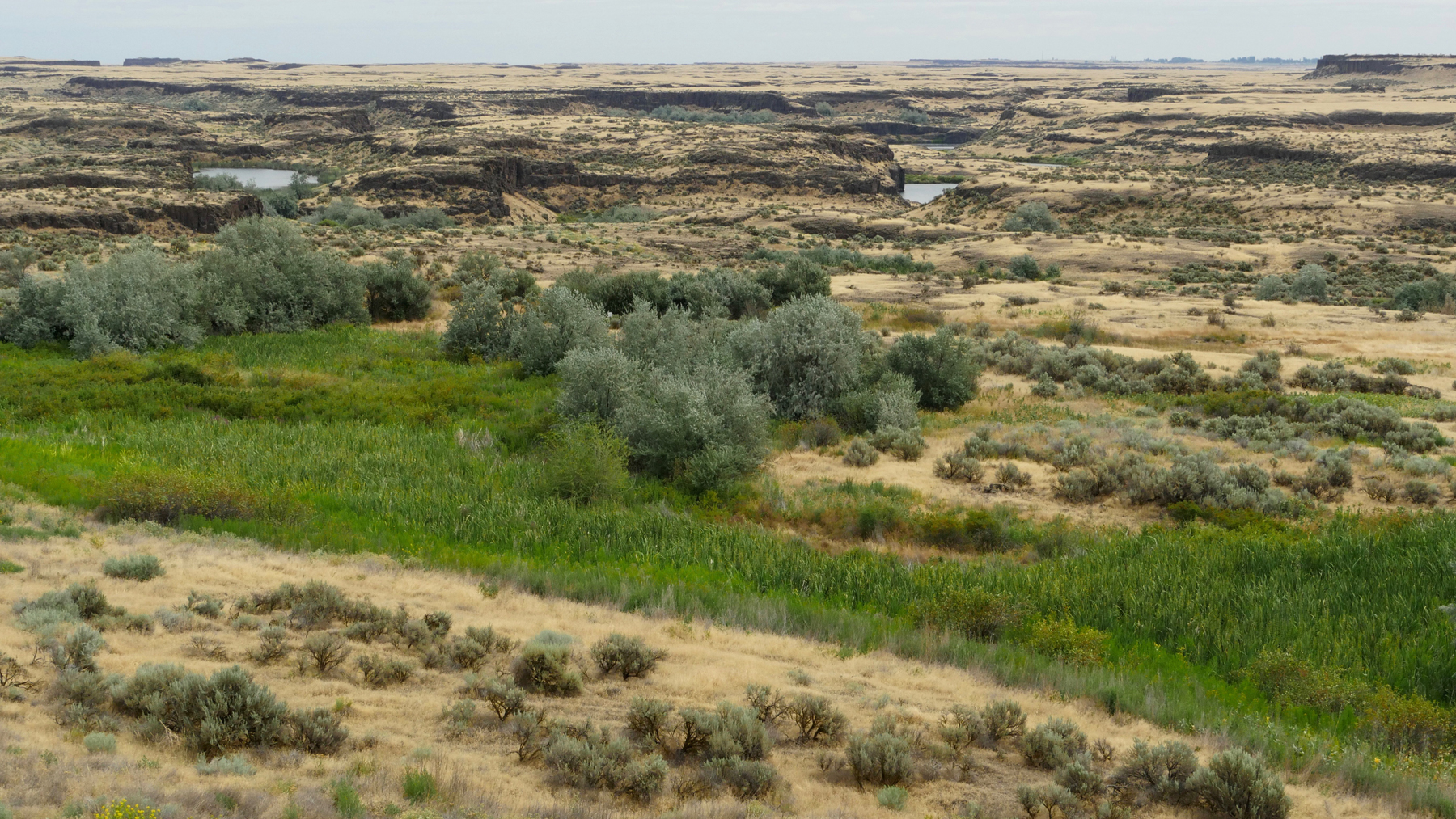 Scablands