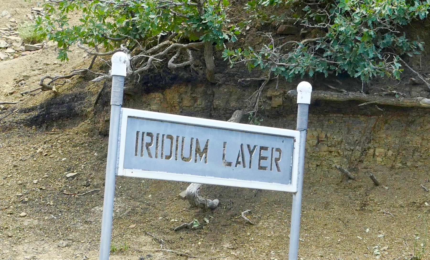 Iridium layer, Raton