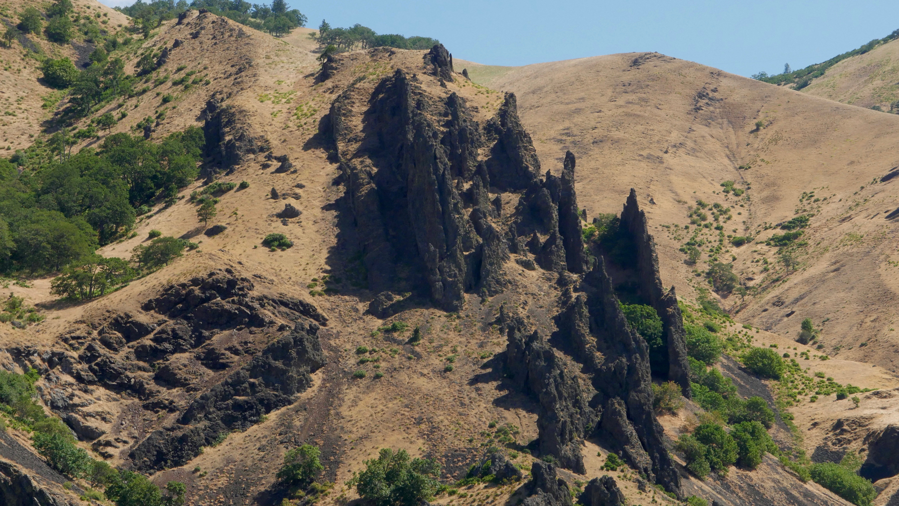 Columbia River shoreline