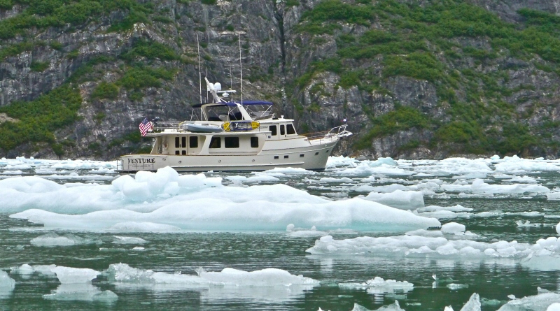 Venture in ice Tracy Arm