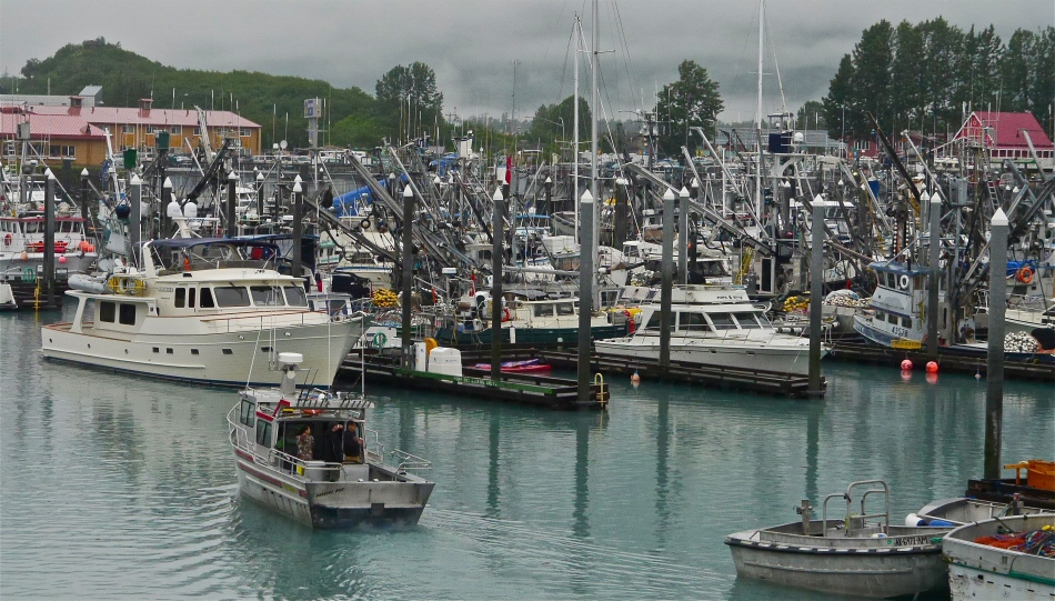Valdez Harbor
