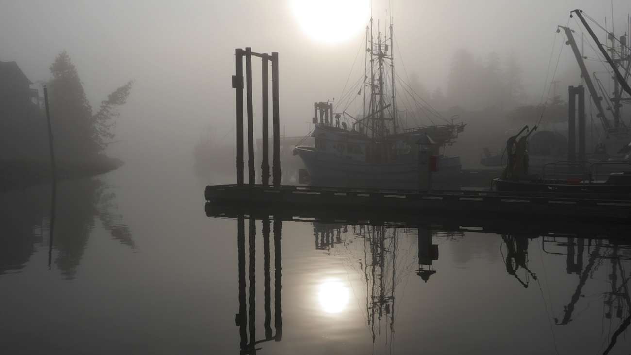 Misty Morning in Ucluelet