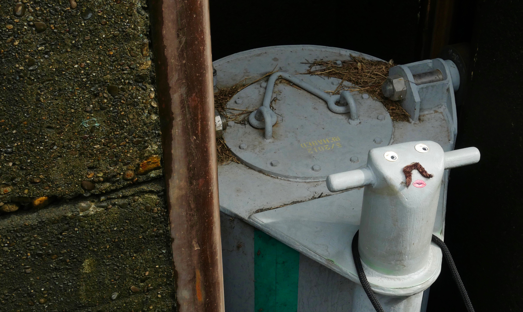 Decorated floating bollard