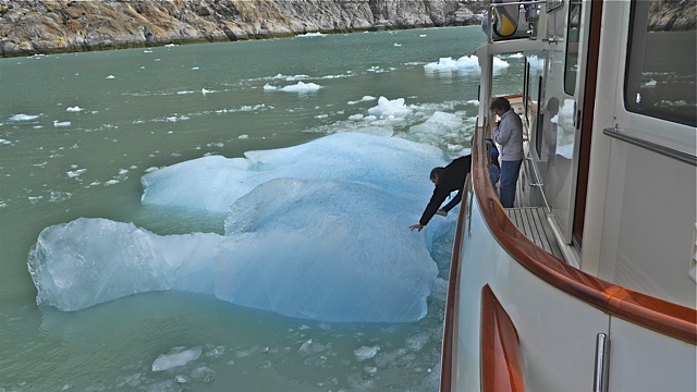 Ice floe in Endicott Arm