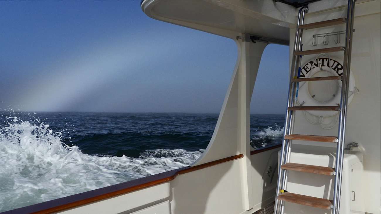 Fog Bow
