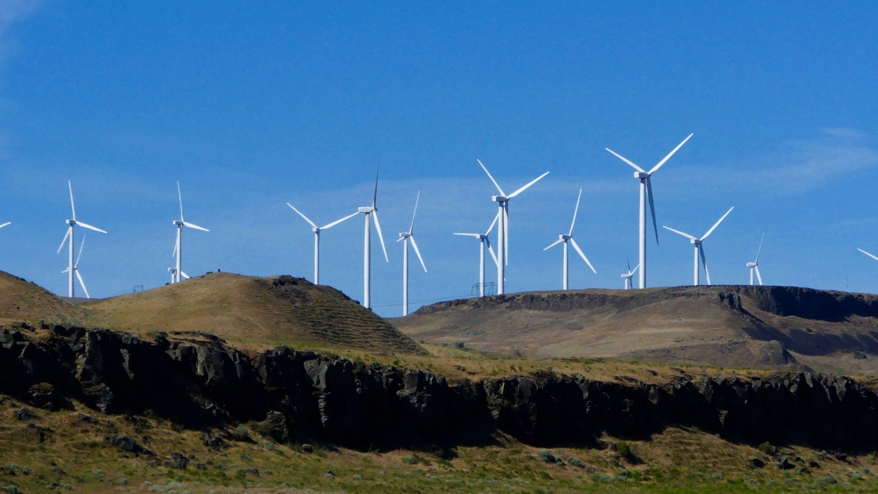 Many windmills