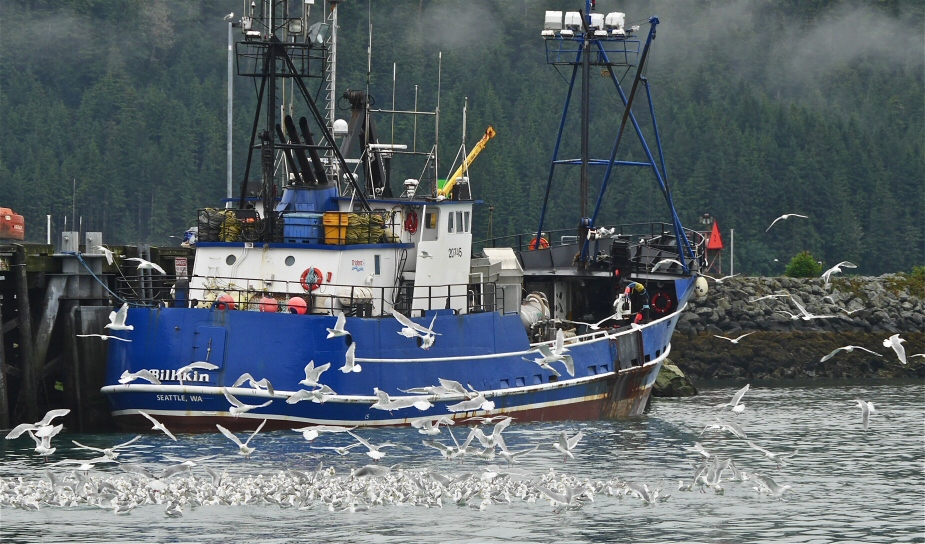 Fish boat at Cordova