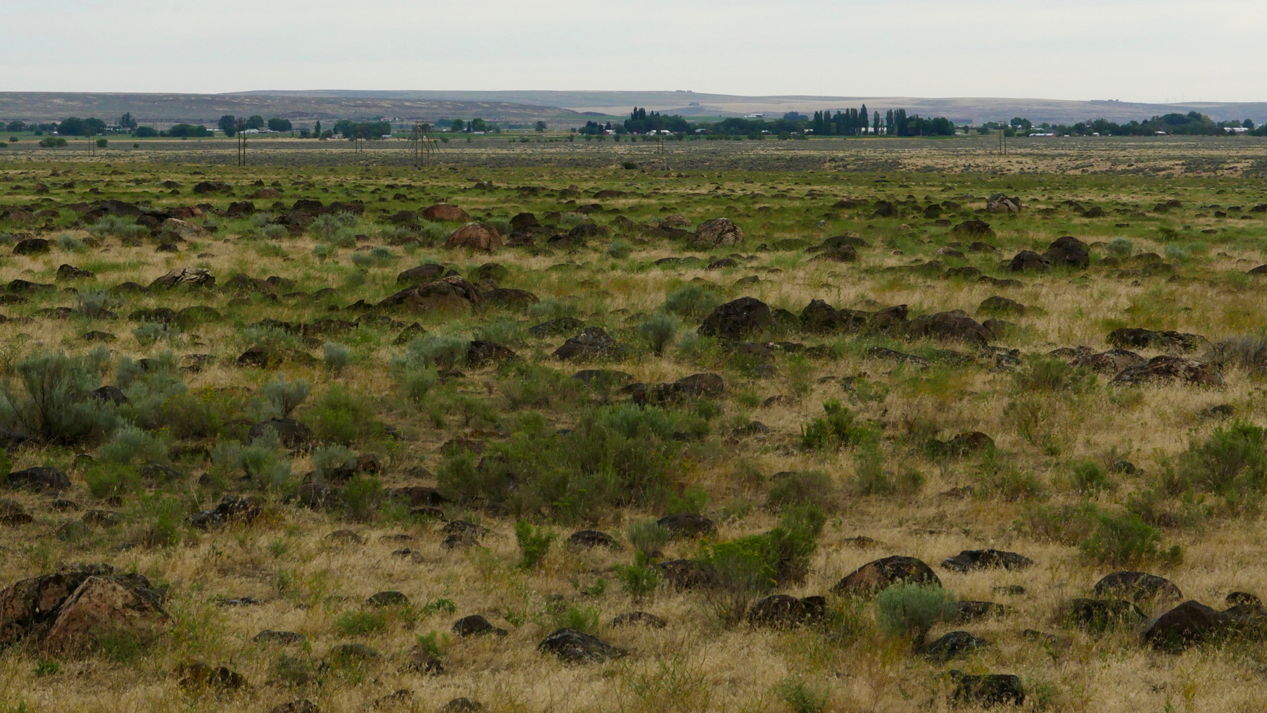 Field of small erratics