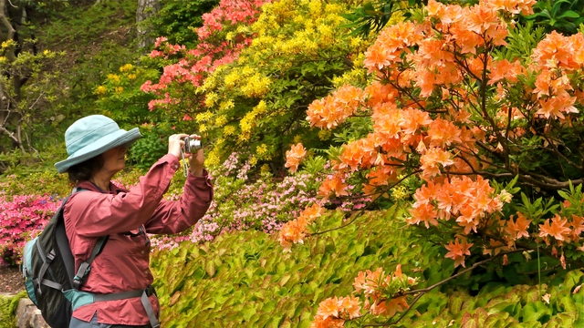 Christine in Inverewe gardens