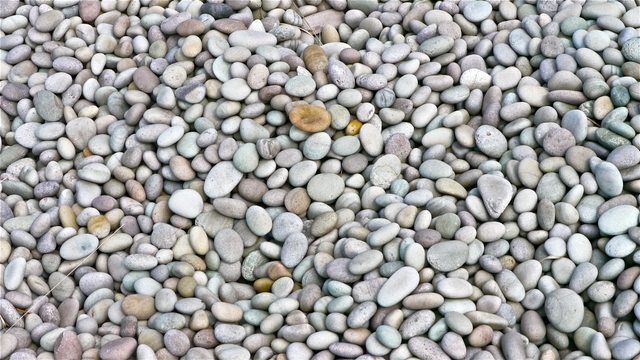 Pebbles on raised beach