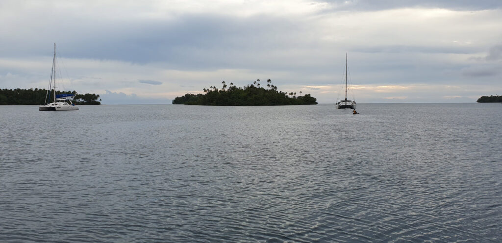 Soggy Paws and Ocelot