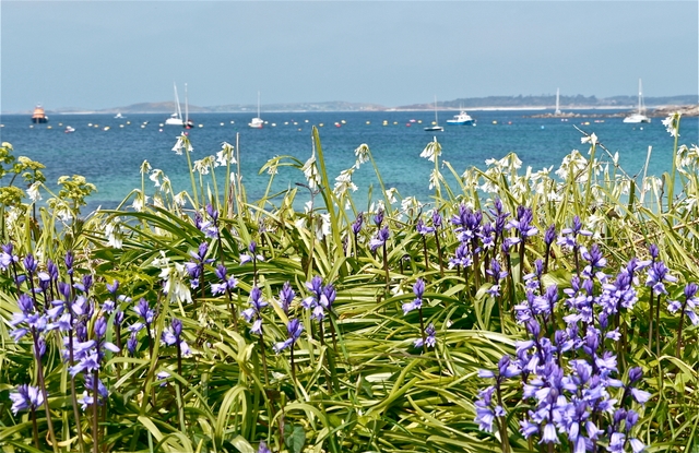 St. Mary?s, Scillies
