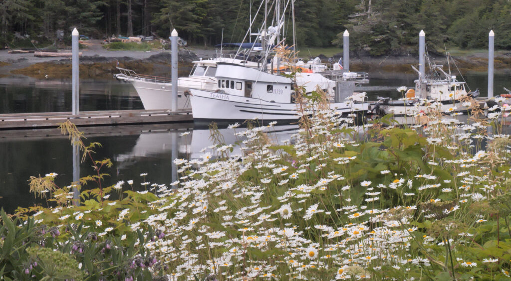 Venture at dock with fish boat