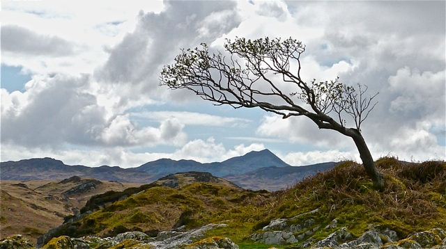Landscape West Loch Tarbert with Paps